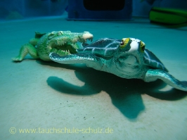 Eindrücke vom Indoor Tauchzentrum Monte Mare