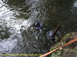 Wartungsarbeiten am Bootssteg von Andi und Ute vielen Dank an Christian, Holger und Thomas H.